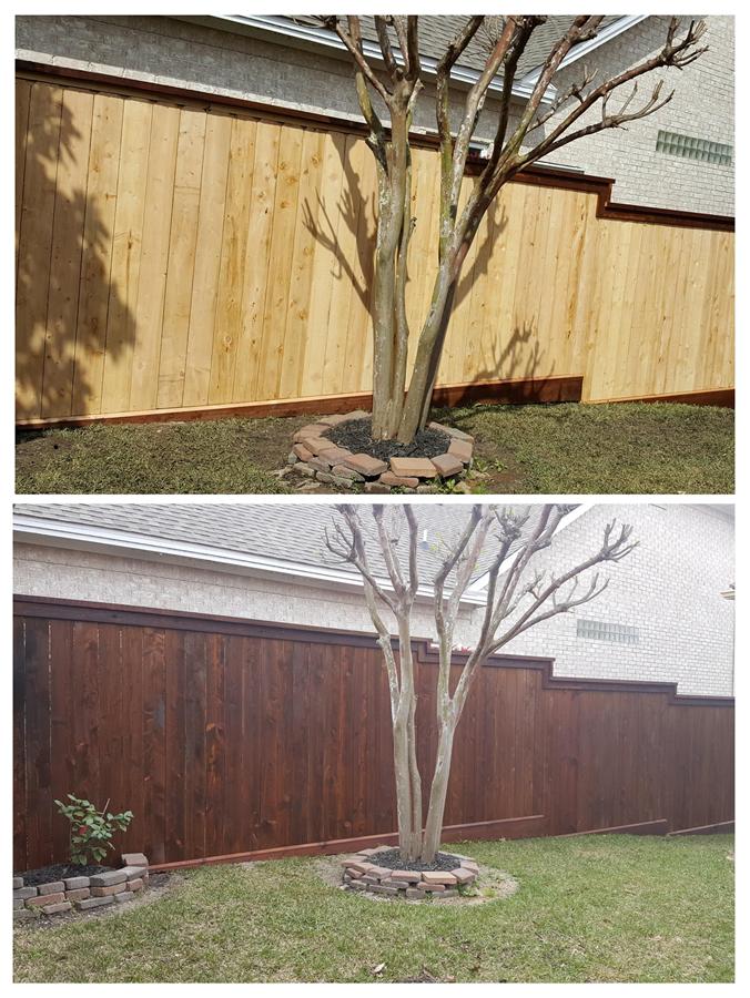 Fence Cleaning & Staining Thumbnail